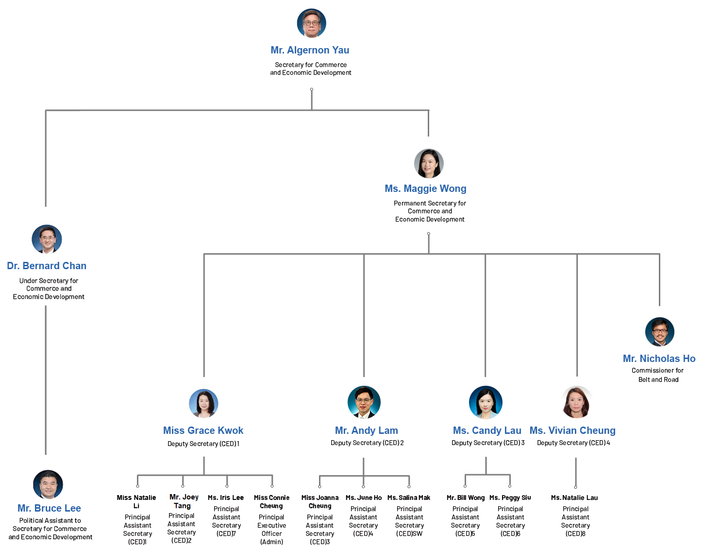org-chart